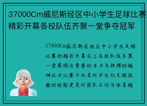 37000Cm威尼斯经区中小学生足球比赛精彩开幕各校队伍齐聚一堂争夺冠军荣耀
