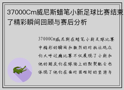 37000Cm威尼斯蜡笔小新足球比赛结束了精彩瞬间回顾与赛后分析