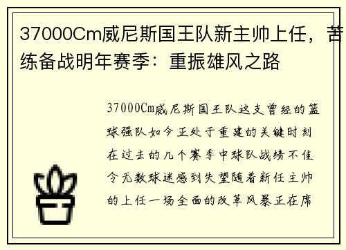 37000Cm威尼斯国王队新主帅上任，苦练备战明年赛季：重振雄风之路